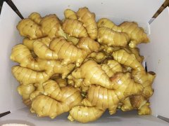 Fresh Ginger