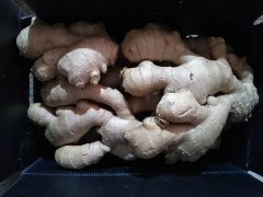 Air dried ginger