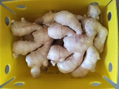 Air dried ginger
