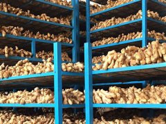 Air dried ginger