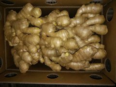 Air dried ginger